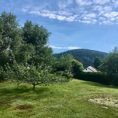 Le Jardin De Rose Et Capucine, Piscine Et Jardin Avec Terrasse Gérardmer