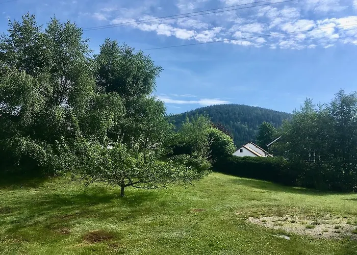Le Jardin De Rose Et Capucine, Piscine Et Jardin Avec Terrasse Gérardmer